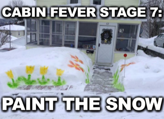 CABIN FEVER STAGE7