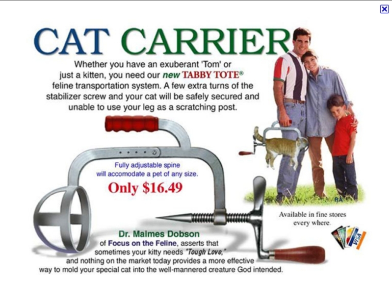 517999 cat_carrier.